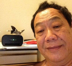 moth resting on speaker